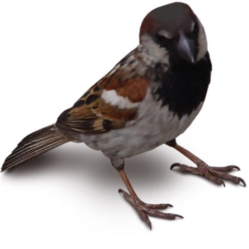 Academia Música de Iglesia